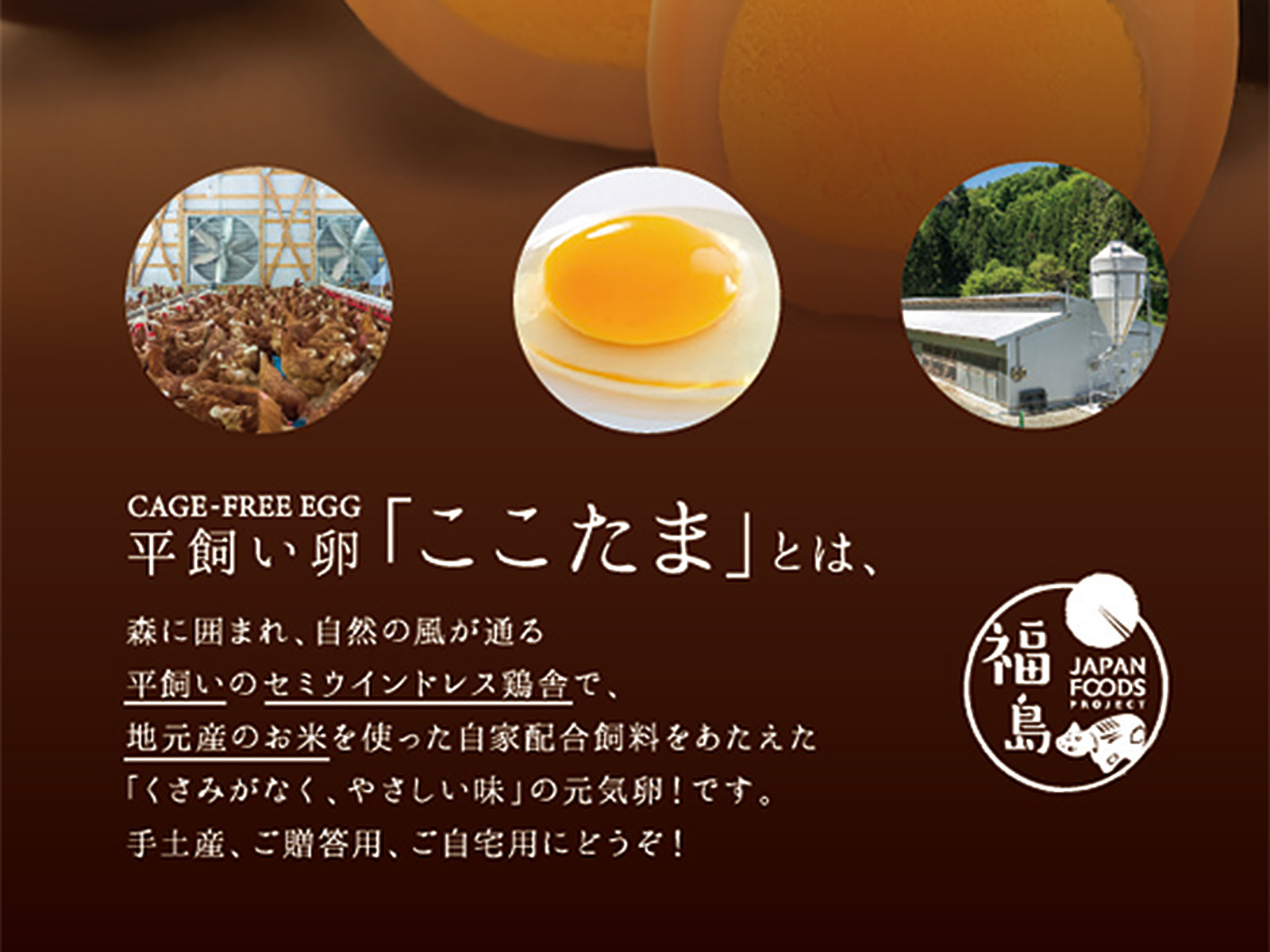 直売・カフェこころや / 【燻製たまご】平飼い卵ここたまのくんたま 6
