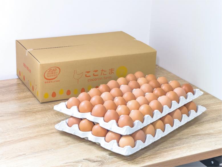 【JGAP認証取得農場】平飼い卵「ここたま」業務用5kg(71個前後) 赤色フリーサイズ | こころんファーム