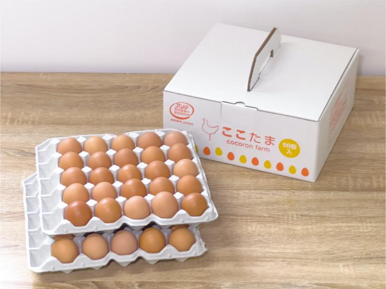 【JGAP認証取得農場】平飼い卵「ここたま」ギフトボックス バラ50個入り 赤色フリーサイズ | こころんファーム